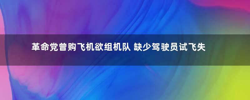 革命党曾购飞机欲组机队 缺少驾驶员试飞失败
